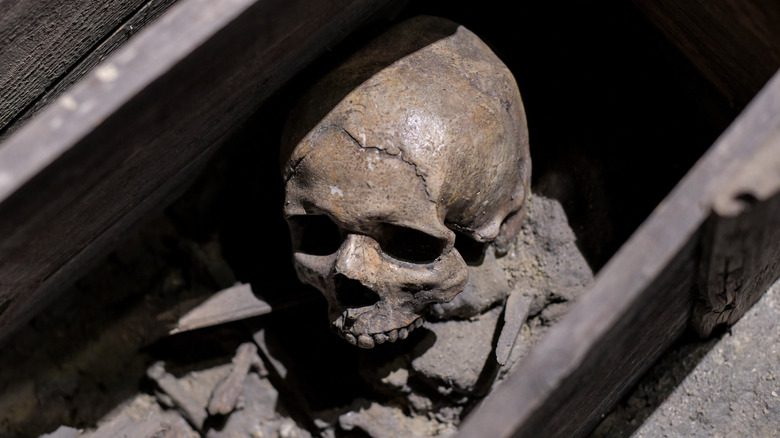Череп и кости в деревянном гробу