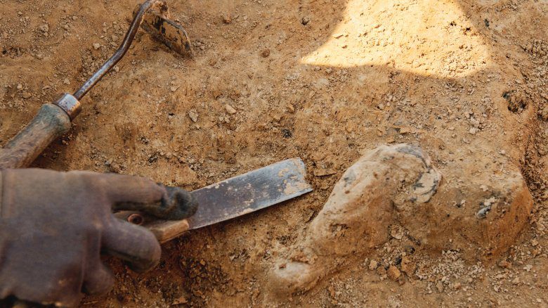 инструменты для археологических раскопок