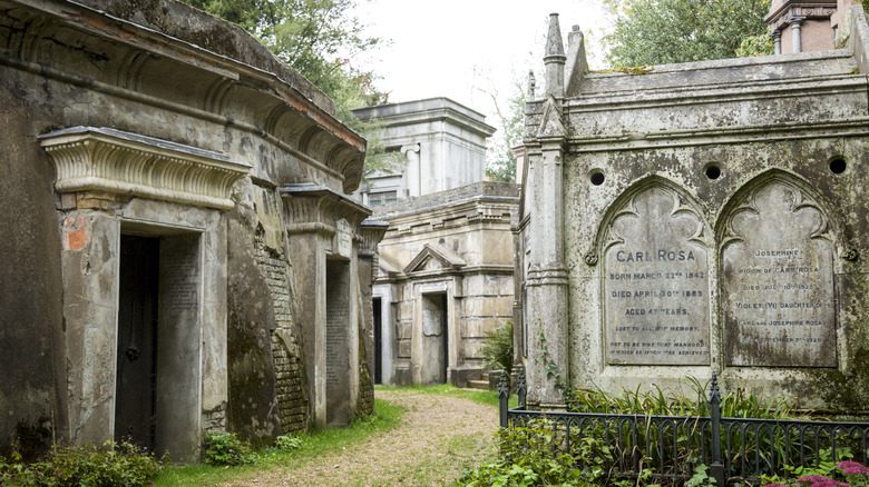 Могилы на кладбище Хайгейт, покрытые мхом