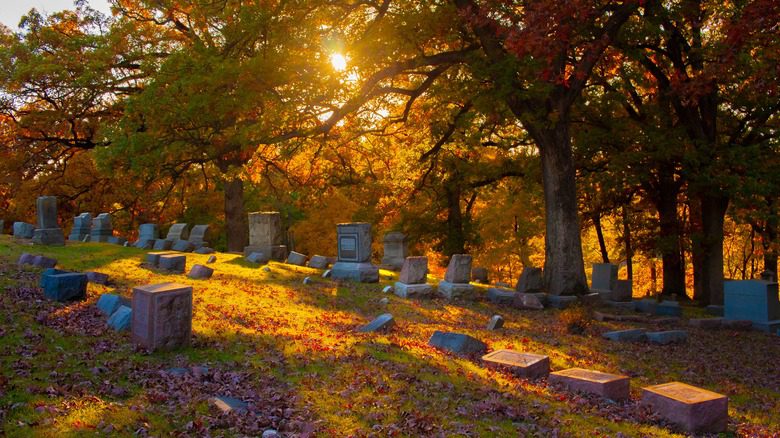 кладбище осенью