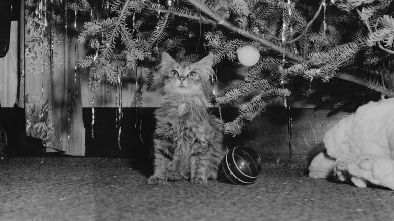 кот рядом с украшенной мишурой рождественской елкой 