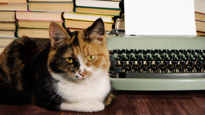 Кошка с пишущей машинкой