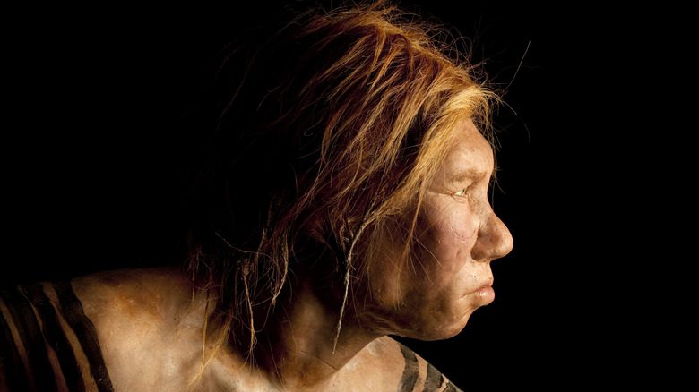 Воссоздание неандертальской женщины