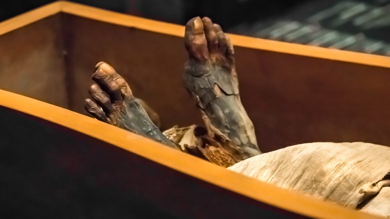 Крупный план ног мумии