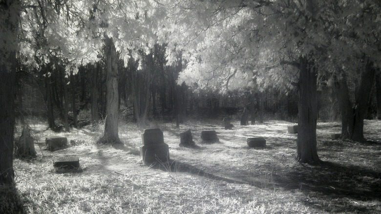 кладбище бачелорс гров