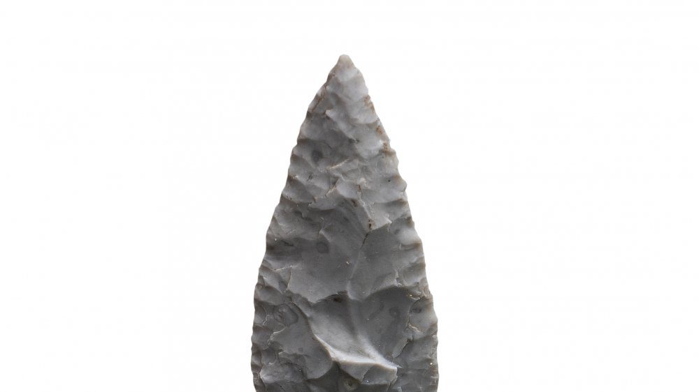 Каменный наконечник стрелы свидетельствует о ранних инновациях человечества