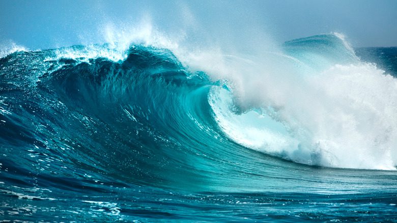 океанские волны