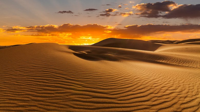 Дюна в пустыне на закате