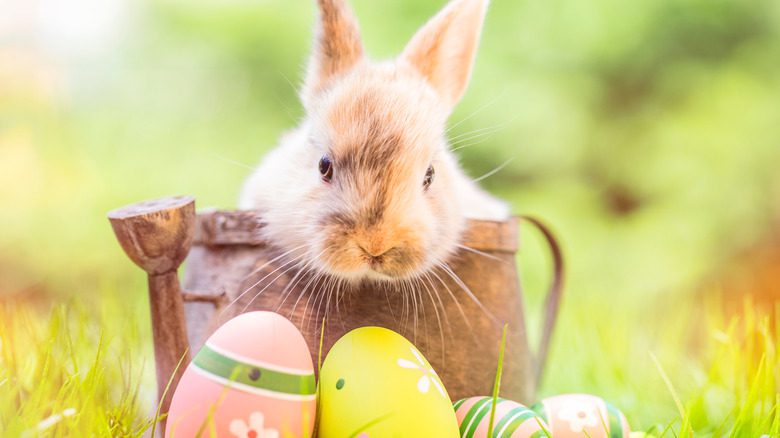 кролик с пасхальными яйцами