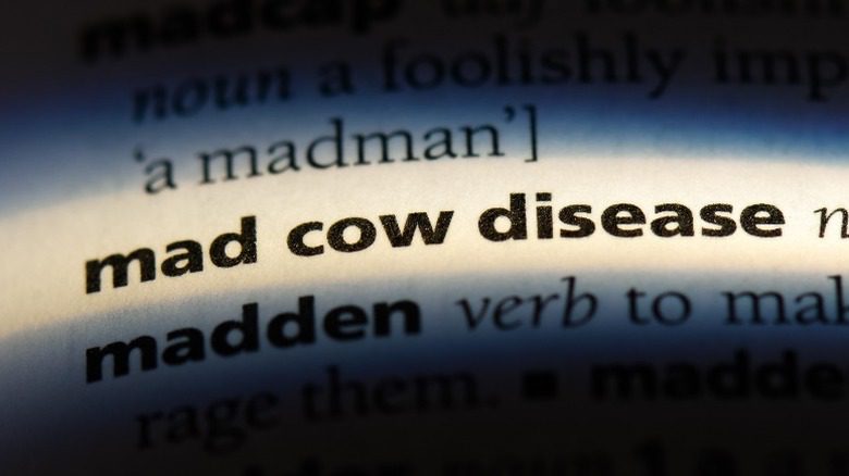 словарная статья о коровьем бешенстве
