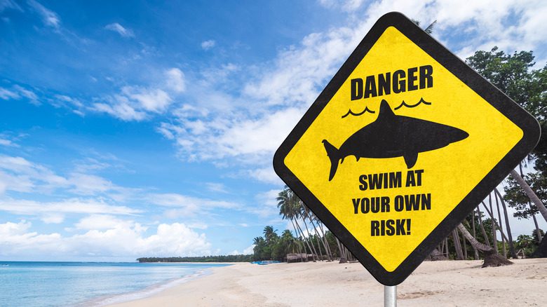 Предупреждающий знак об акулах на пляже