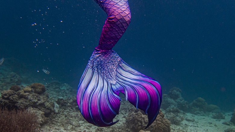 Разноцветный хвост русалки