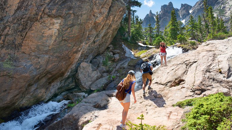 Пешие туристы в Национальном парке Скалистых гор