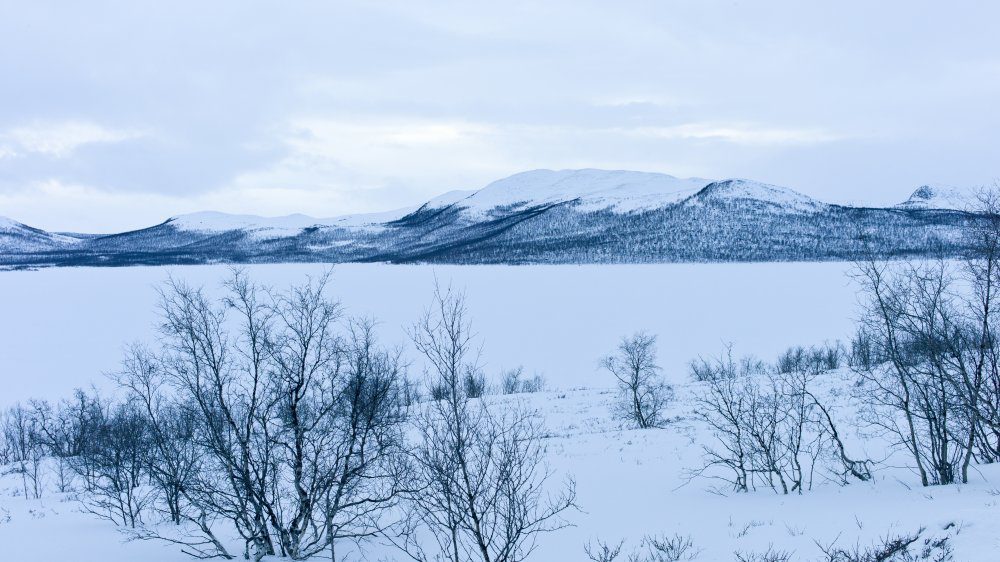 Финская сельская местность зимой