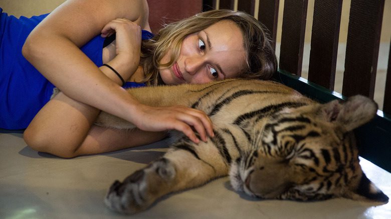 женщина лежит на спящем тигре