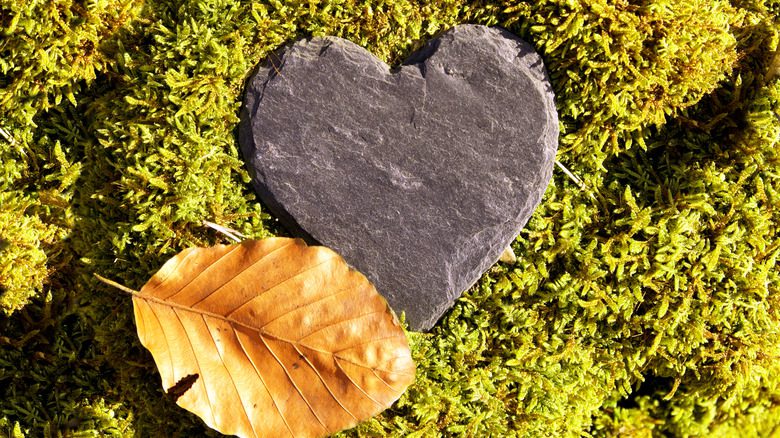 каменное сердце на траве