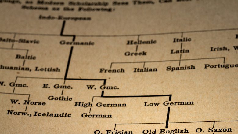 Индоевропейская языковая семья