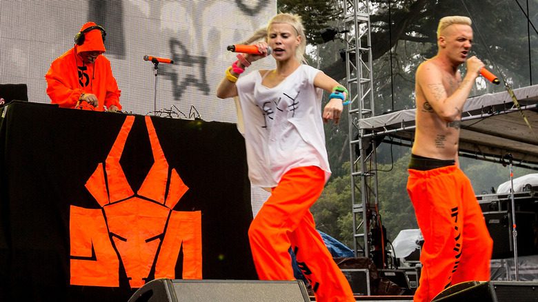 Die Antwoord на концерте