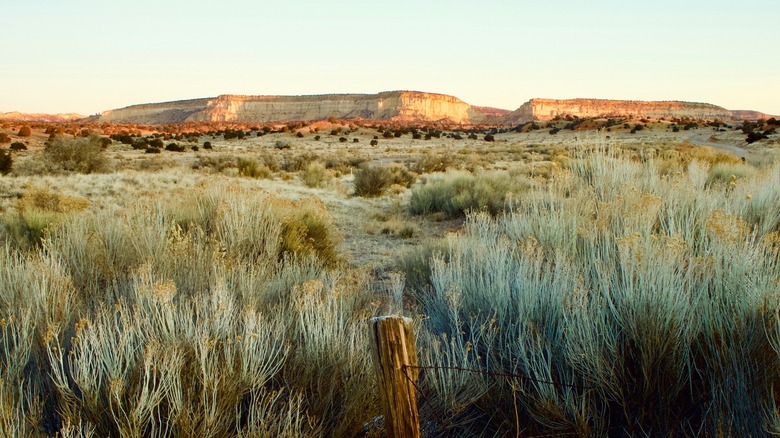 Горы дикой природы Нью-Мексико на заднем плане