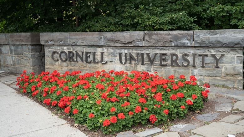 Знак Корнельского университета за цветочной клумбой