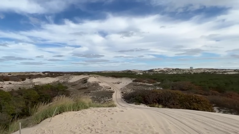 Широкий снимок песчаных дюн