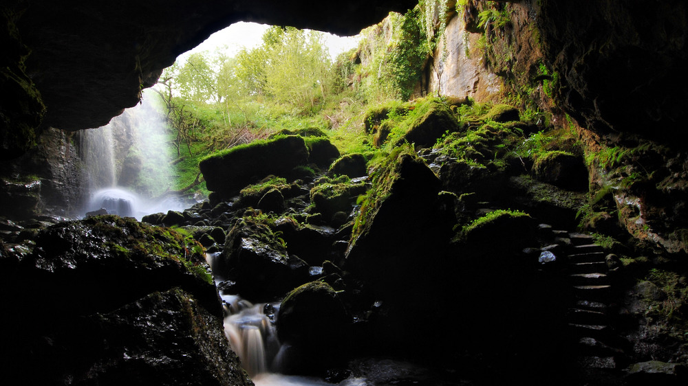 секретная пещера с водопадом и покрытыми мхом скалами