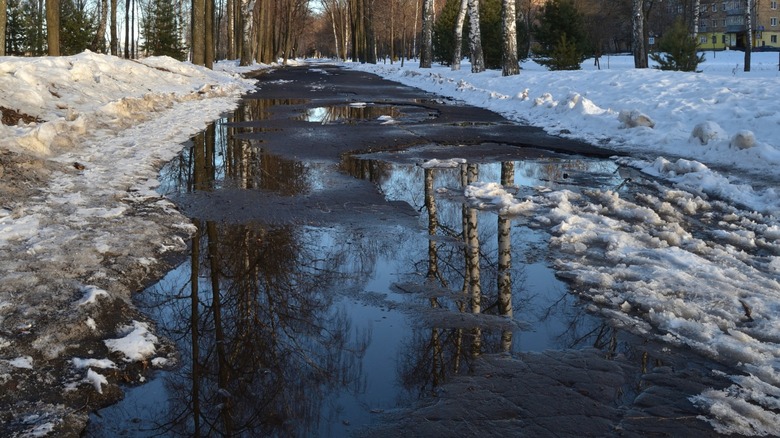 Дорога с тающим снегом