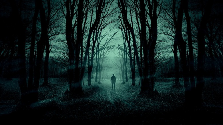 Мужчина стоит один в лесу
