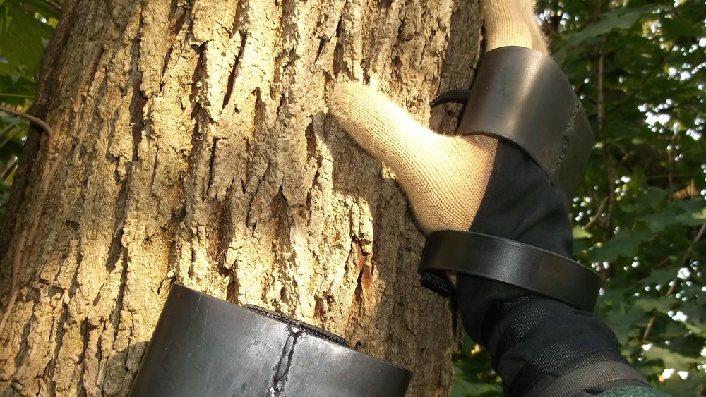 рука в перчатке на стволе дерева