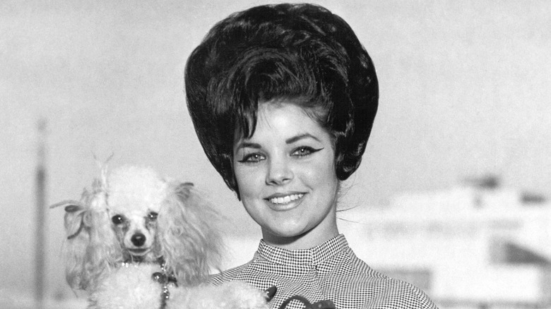 Присцилла Пресли, урожденная Болье, с собакой 1963 год