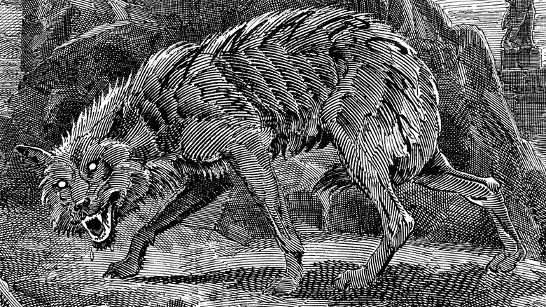 Черно-белый набросок бешеного волка