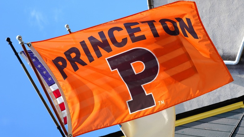 Флаг Принстонского университета