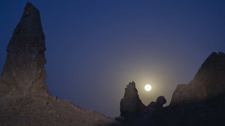 Пустыня Мохаве ночью при полной луне