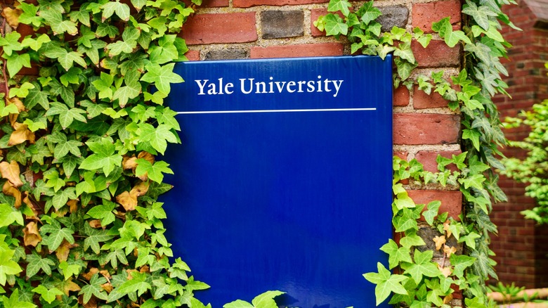 Знак Йельского университета