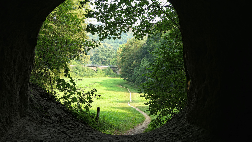 германия устье пещеры с тропой и деревьями