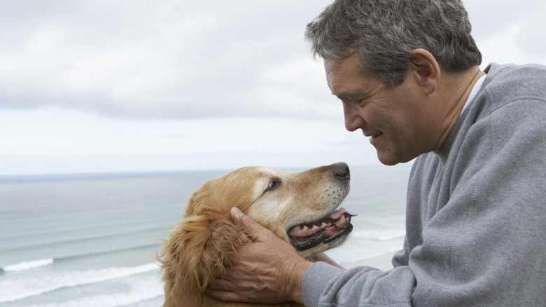 мужчина с собакой на пляже